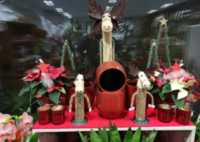 Elchfiguren und Weihnachtssterne, Blumen Rosenhammer Oetz