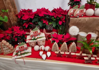 Weihnachtssterne und rote Weihnachtsdekoration, Blumen Rosenhammer Oetz